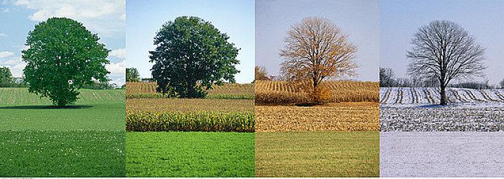 《海贼王 Bounty Rush》Steam页面上线 年内发售